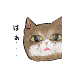 絵本に出てきそうな猫！（個別スタンプ：17）