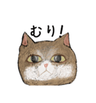絵本に出てきそうな猫！（個別スタンプ：20）