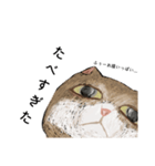 絵本に出てきそうな猫！（個別スタンプ：23）