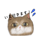 絵本に出てきそうな猫！（個別スタンプ：24）