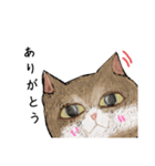 絵本に出てきそうな猫！（個別スタンプ：26）