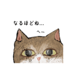 絵本に出てきそうな猫！（個別スタンプ：28）