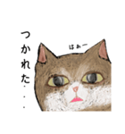 絵本に出てきそうな猫！（個別スタンプ：30）
