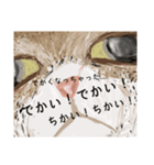 絵本に出てきそうな猫！（個別スタンプ：33）