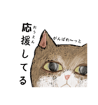 絵本に出てきそうな猫！（個別スタンプ：35）