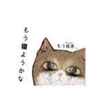 絵本に出てきそうな猫！（個別スタンプ：36）