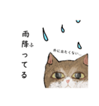 絵本に出てきそうな猫！（個別スタンプ：38）