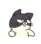 ぶちねこさんと恋うささん3（個別スタンプ：17）