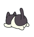 ぶちねこさんと恋うささん3（個別スタンプ：37）