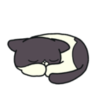 ぶちねこさんと恋うささん3（個別スタンプ：40）
