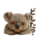キモブサカワ9(コアラ)（個別スタンプ：13）