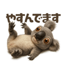 キモブサカワ9(コアラ)（個別スタンプ：18）