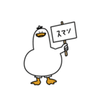 無表情あひるの日常（個別スタンプ：23）