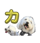 単体文字のスタンプ 第四弾（個別スタンプ：6）