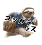 元なまけもののナマケモノスタンプ☆超便利（個別スタンプ：6）