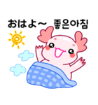 ウーパールーパー「ルパピン」JPN, KOR（個別スタンプ：1）