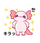 ウーパールーパー「ルパピン」JPN, KOR（個別スタンプ：3）