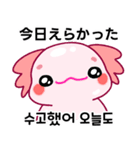 ウーパールーパー「ルパピン」JPN, KOR（個別スタンプ：4）