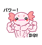 ウーパールーパー「ルパピン」JPN, KOR（個別スタンプ：6）