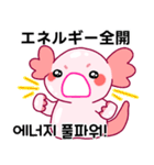 ウーパールーパー「ルパピン」JPN, KOR（個別スタンプ：8）