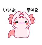 ウーパールーパー「ルパピン」JPN, KOR（個別スタンプ：10）