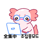 ウーパールーパー「ルパピン」JPN, KOR（個別スタンプ：11）
