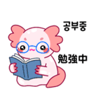 ウーパールーパー「ルパピン」JPN, KOR（個別スタンプ：12）