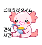 ウーパールーパー「ルパピン」JPN, KOR（個別スタンプ：13）