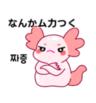 ウーパールーパー「ルパピン」JPN, KOR（個別スタンプ：18）