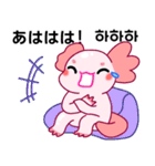 ウーパールーパー「ルパピン」JPN, KOR（個別スタンプ：19）