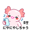 ウーパールーパー「ルパピン」JPN, KOR（個別スタンプ：21）