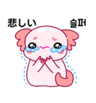 ウーパールーパー「ルパピン」JPN, KOR（個別スタンプ：28）
