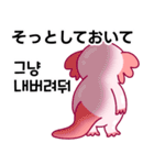 ウーパールーパー「ルパピン」JPN, KOR（個別スタンプ：30）