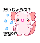 ウーパールーパー「ルパピン」JPN, KOR（個別スタンプ：31）