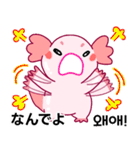 ウーパールーパー「ルパピン」JPN, KOR（個別スタンプ：34）