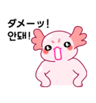 ウーパールーパー「ルパピン」JPN, KOR（個別スタンプ：35）