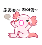 ウーパールーパー「ルパピン」JPN, KOR（個別スタンプ：37）