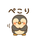 ひえペン｜まいにちスタンプ（個別スタンプ：9）