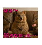 ぷりちークオッカワラビー01（個別スタンプ：3）
