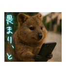 ぷりちークオッカワラビー01（個別スタンプ：6）