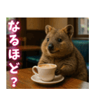 ぷりちークオッカワラビー01（個別スタンプ：8）