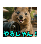 ぷりちークオッカワラビー01（個別スタンプ：11）