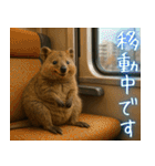 ぷりちークオッカワラビー01（個別スタンプ：15）