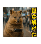 ぷりちークオッカワラビー01（個別スタンプ：17）