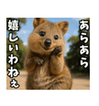ぷりちークオッカワラビー01（個別スタンプ：19）
