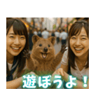 ぷりちークオッカワラビー01（個別スタンプ：22）