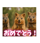 ぷりちークオッカワラビー01（個別スタンプ：29）