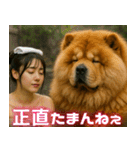 神獣と巫女08（個別スタンプ：14）