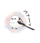それいけシマエナガ（個別スタンプ：11）