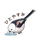 それいけシマエナガ（個別スタンプ：21）